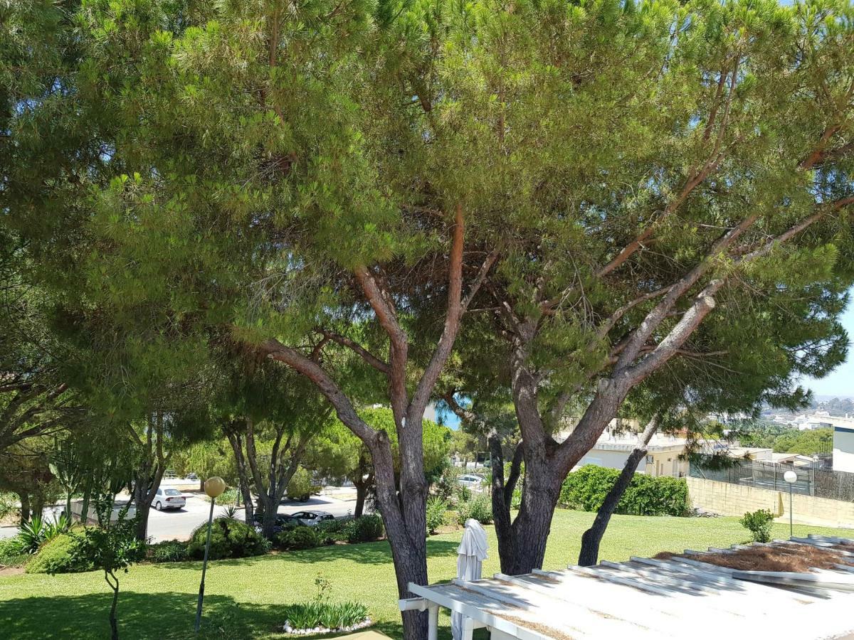Appartement Lugar De La Luz à Estepona Extérieur photo